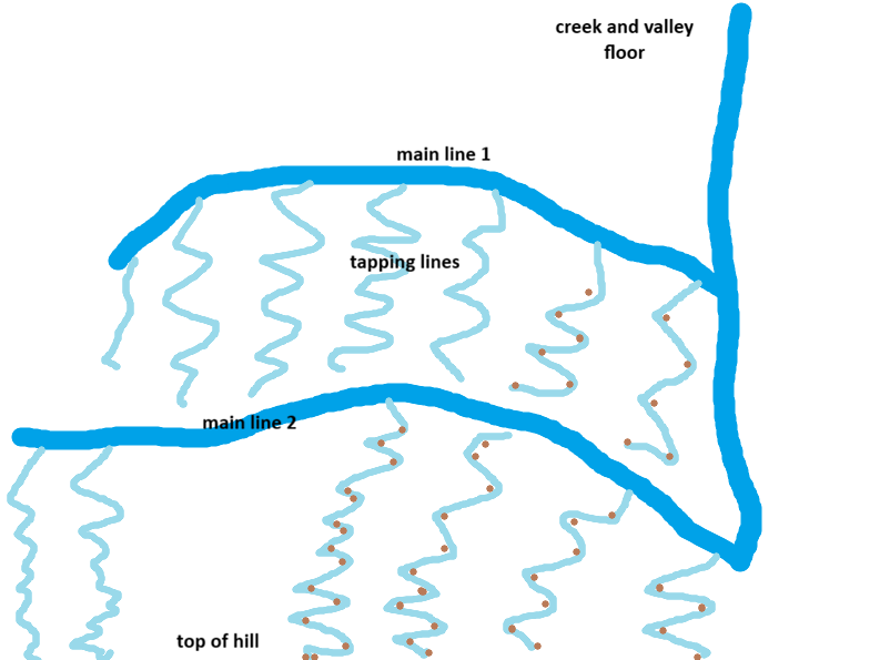 An MS Paint drawing of the main lines, tapping lines and trees.