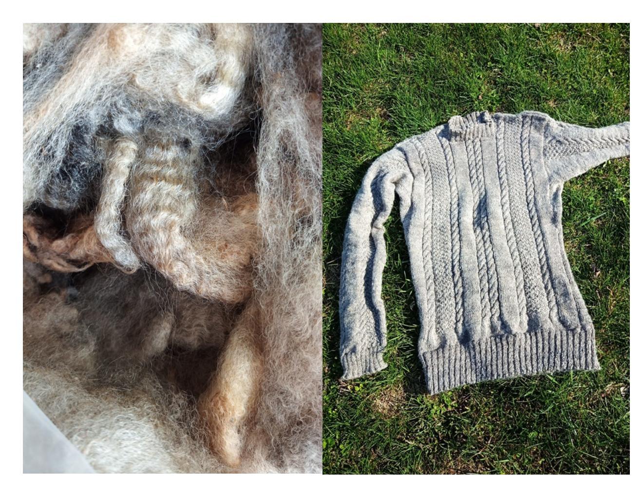 A split picture of the raw fleece and the finished sweater.
