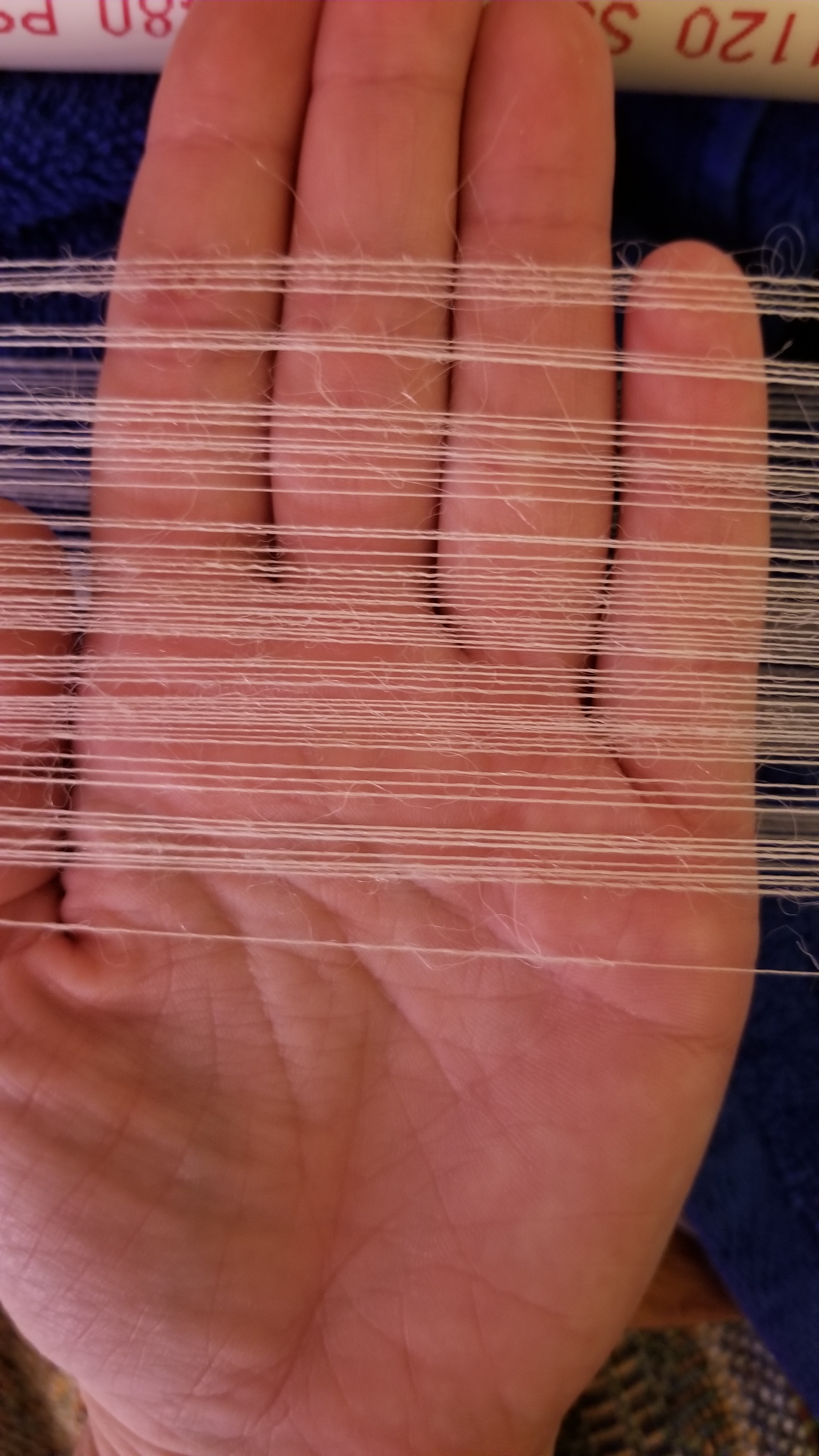 Thin white threads run horizontally across picture. A hand is behind the thread so the picture is clearer.