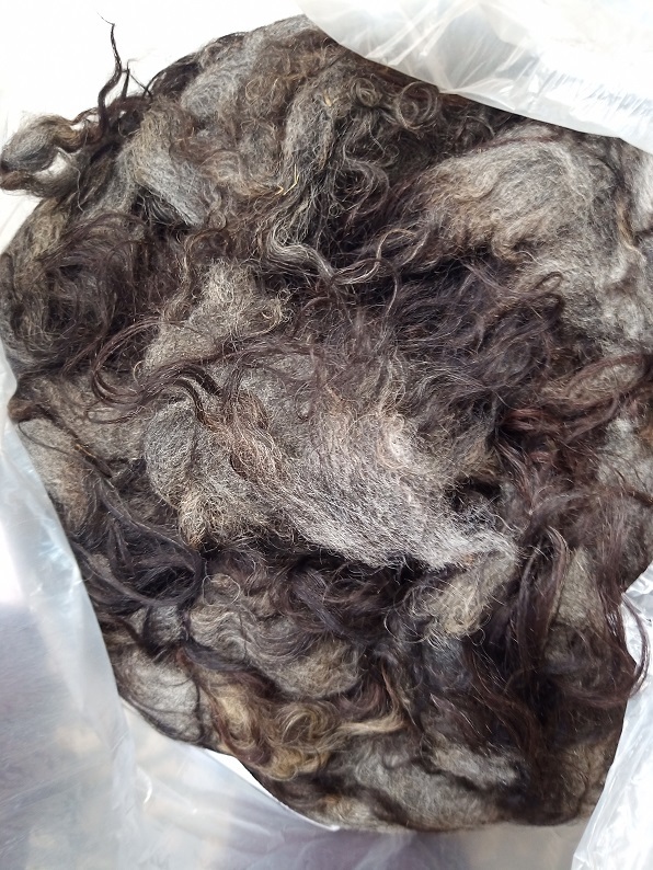 A dark grey fleece with lighter grey areas and long dark grey outer coat. It is in a light clear bag.