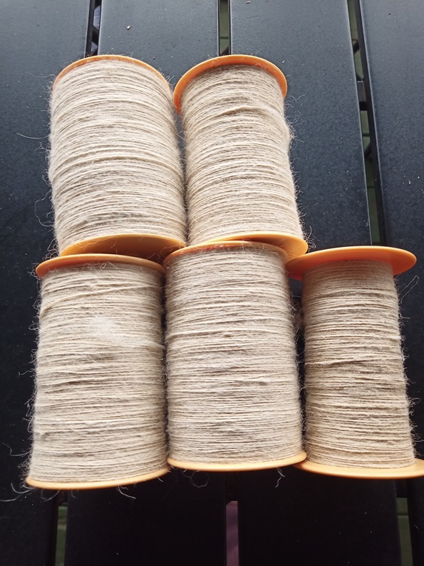 Five bobbins of white alpaca singles on a black table.