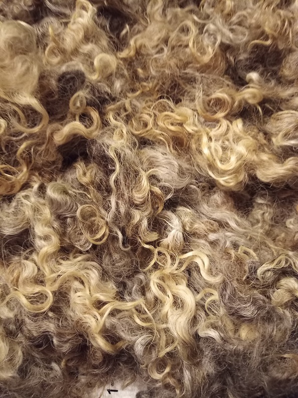 A pile of various colored wool curls, they are corkscrew beautiful curls.